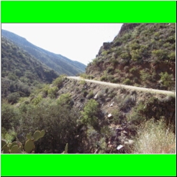 Madera Canyon AZ.JPG